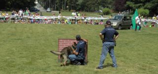 manifestazione dei cinofili ai ragazzi