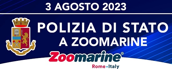 Zoomarine